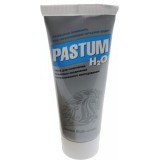 Паста уплотнительная "PASTUM H2О" 70 гр.