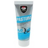 Паста "Pastum H-20" 70 г